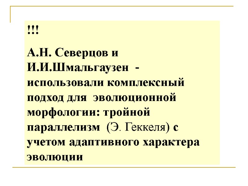 !!! А.Н. Северцов и И.И.Шмальгаузен - использовали комплексный подход для !!! А.Н. Северцов и И.И.Шмальгаузен - использовали комплексный подход для